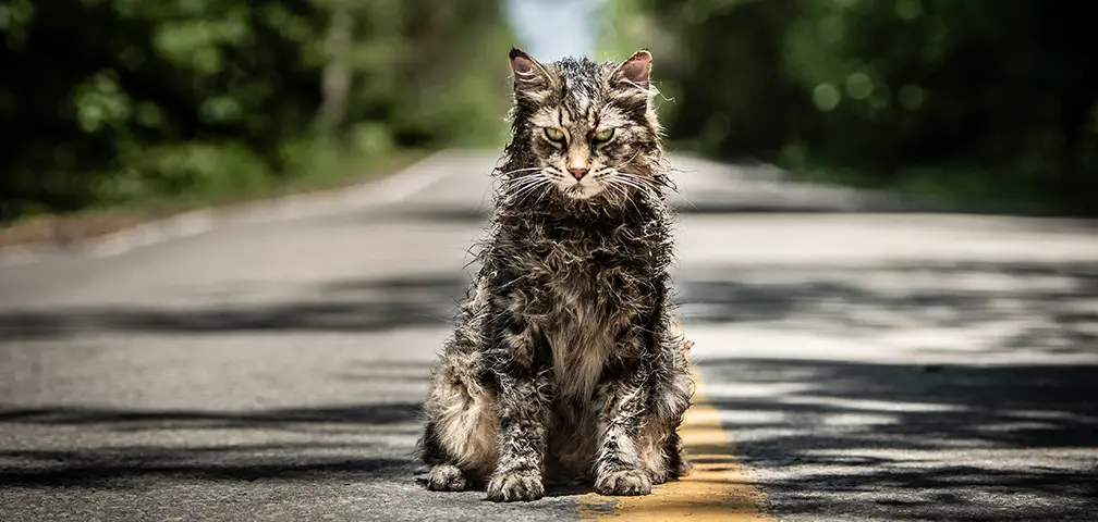 ‘Pet Sematary’ Review: “A Top-Tier King Adaptation”