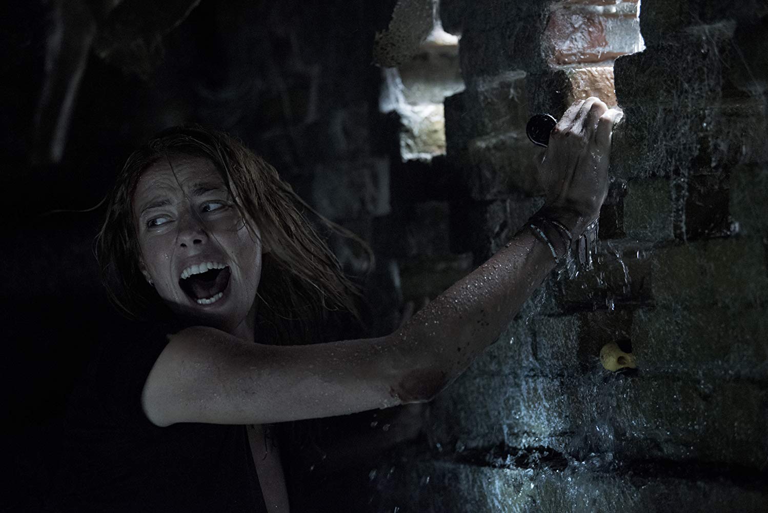 ‘Crawl’ Review: “The Perfect Antidote To Prestige Horror”