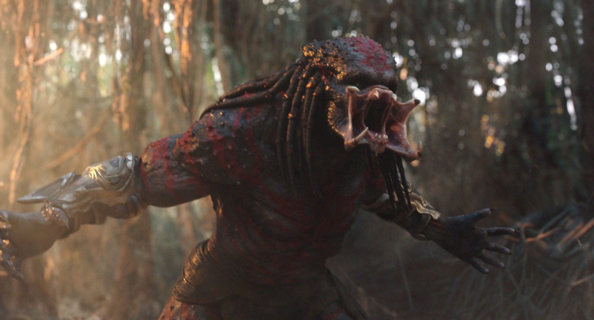 New ‘Predator’ Movie Coming From Taika Waititi