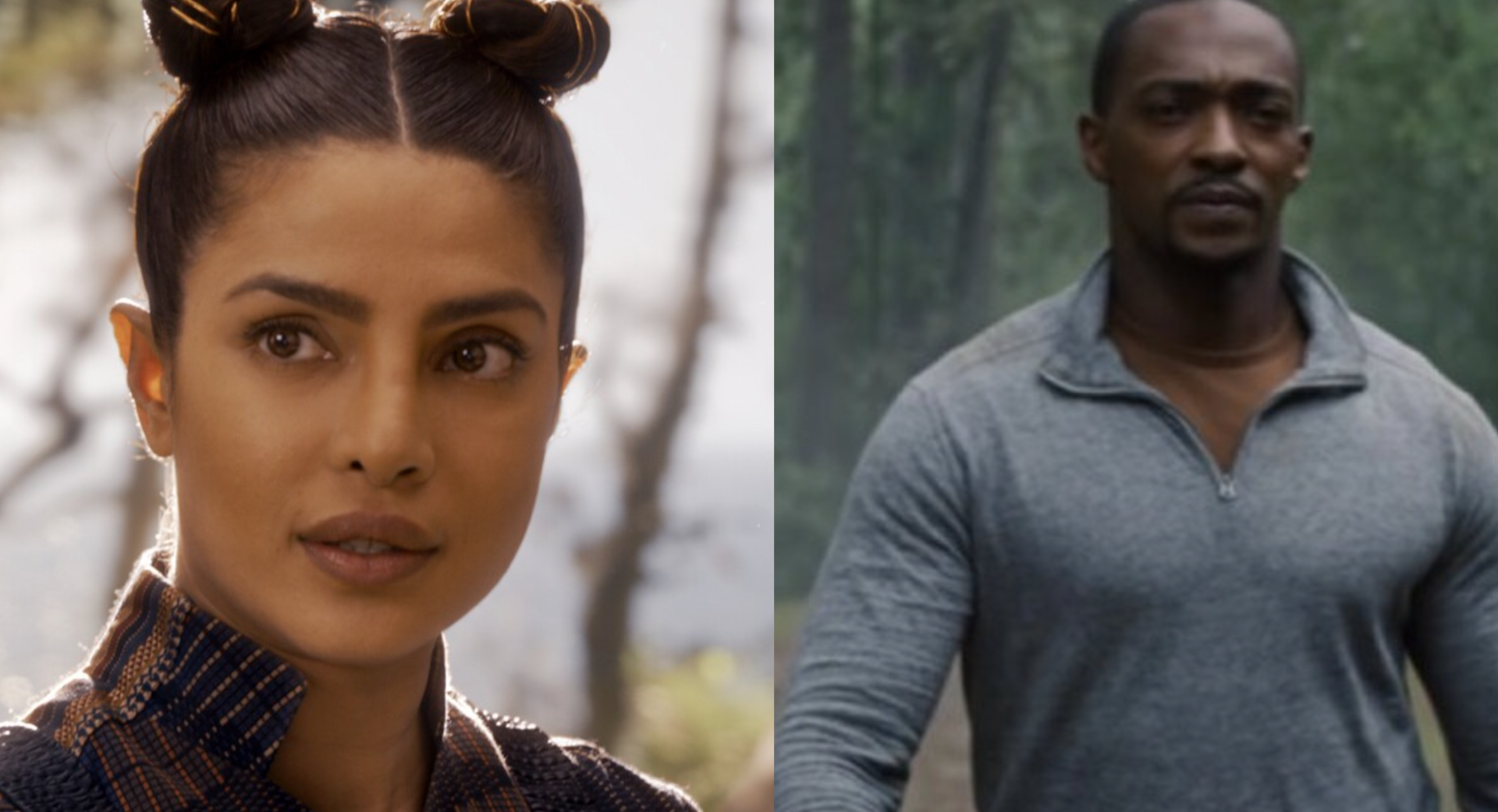Anthony Mackie & Priyanka Chopra Jonas To Star In Kevin Sullivan’s ‘Ending Things’