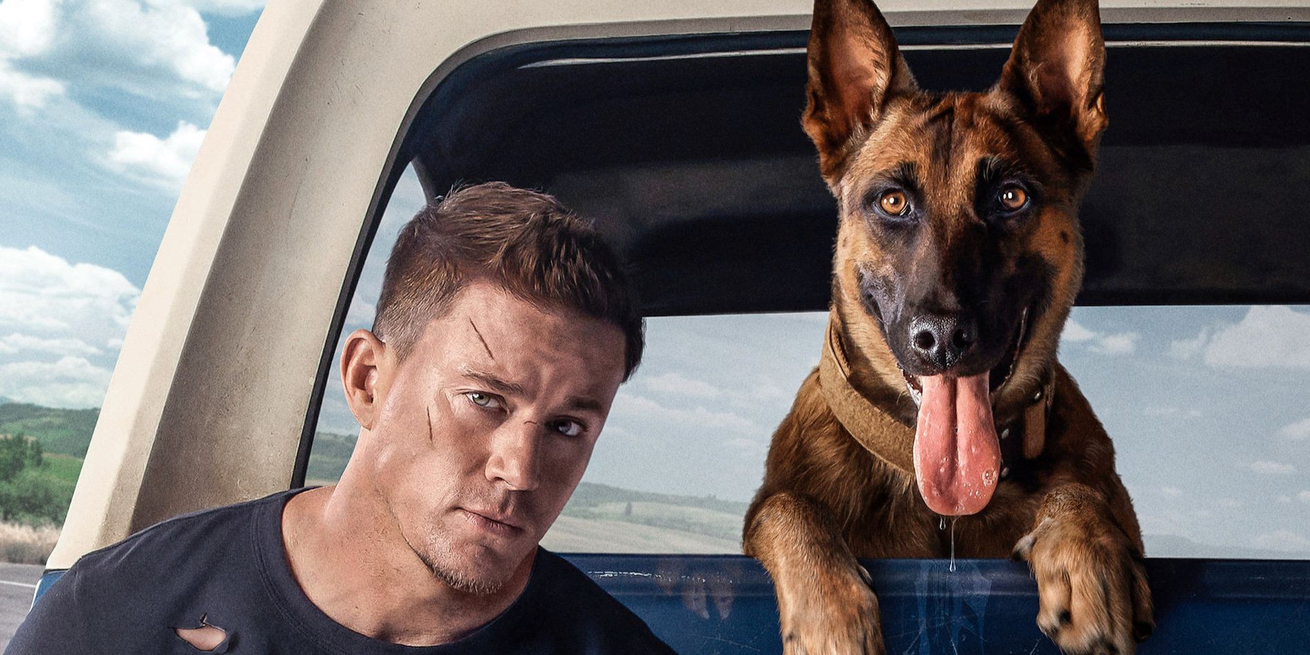 Dog Poster Image - Channing Tatum