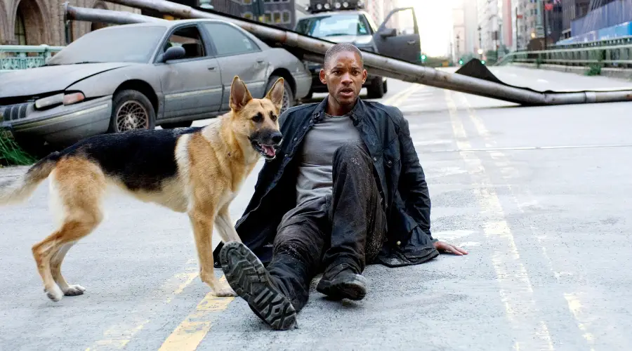 Steven Caple Jr. Reportedly Eyed To Direct ‘I Am Legend 2’
